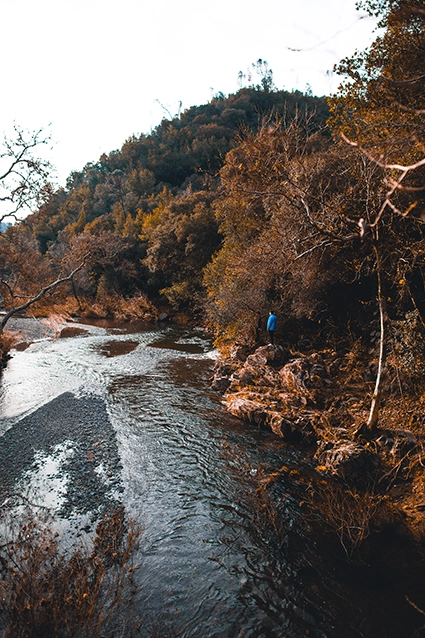 Nature